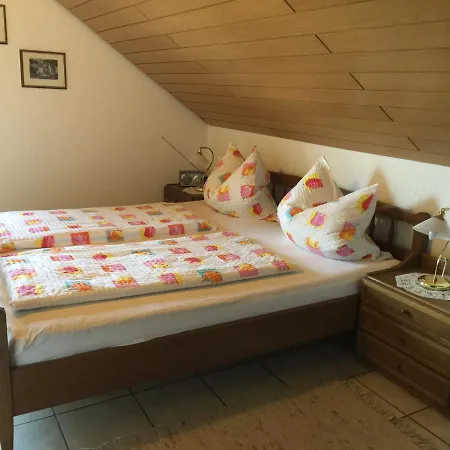 アパート Nickel Haus イデンコーベン