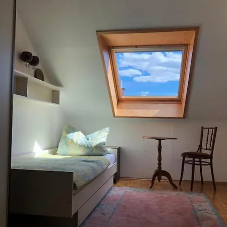 Nickel Haus Apartment Edenkoben