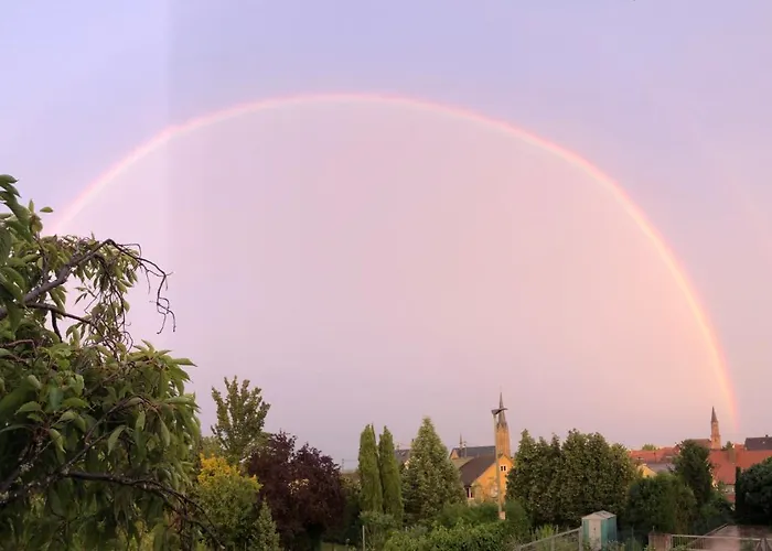 Nickel Haus Appartement Edenkoben