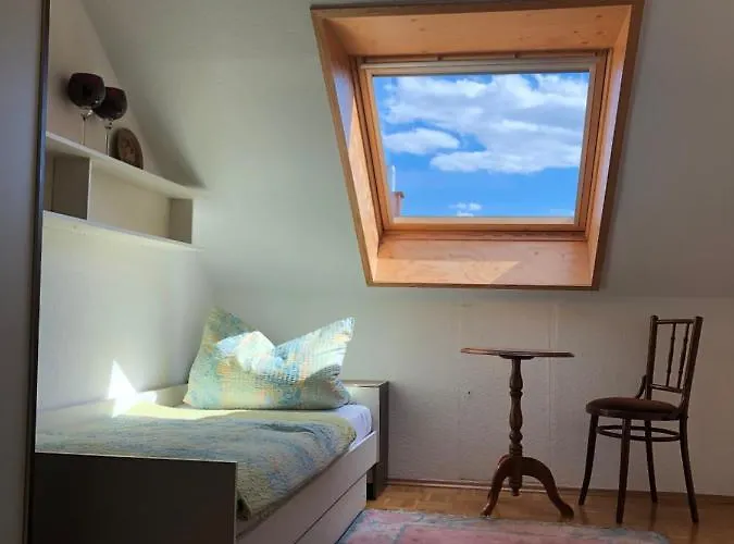 Nickel Haus Appartement Edenkoben