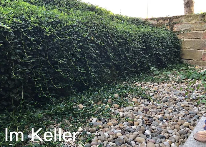 Appartement Nickel Haus